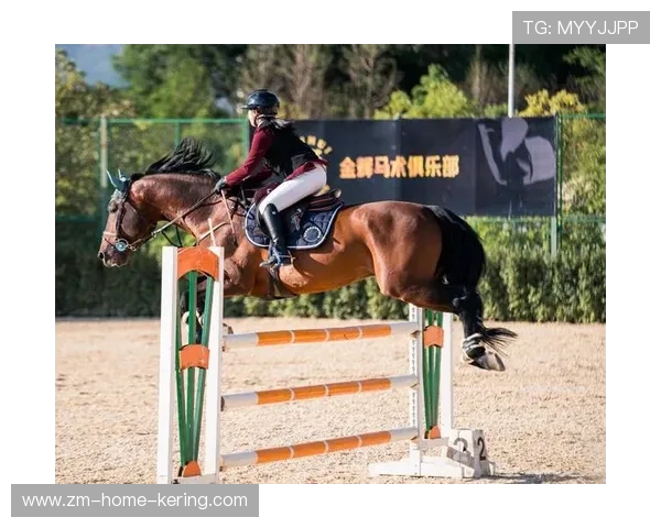 葡萄牙马术协会建立马术运动伤害预防中心，保障运动员安全。，葡萄牙马车博物馆